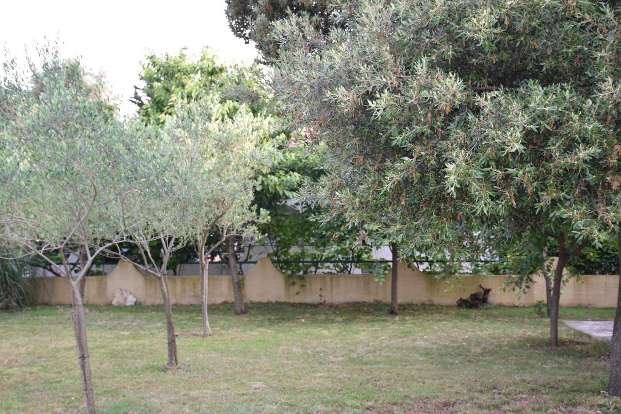Apartments Antonija Punta Skala Next To Falkensteiner Resort ペトルチャネ エクステリア 写真